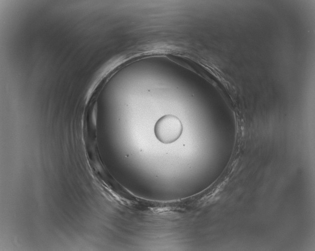 X0000060770244200511101221