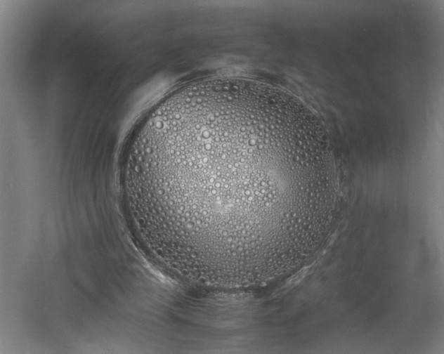 X0000060770245200511101221