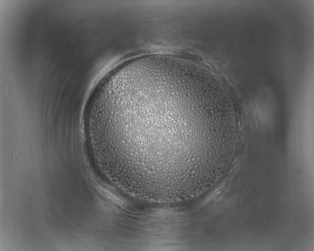 X0000060770246200511101221