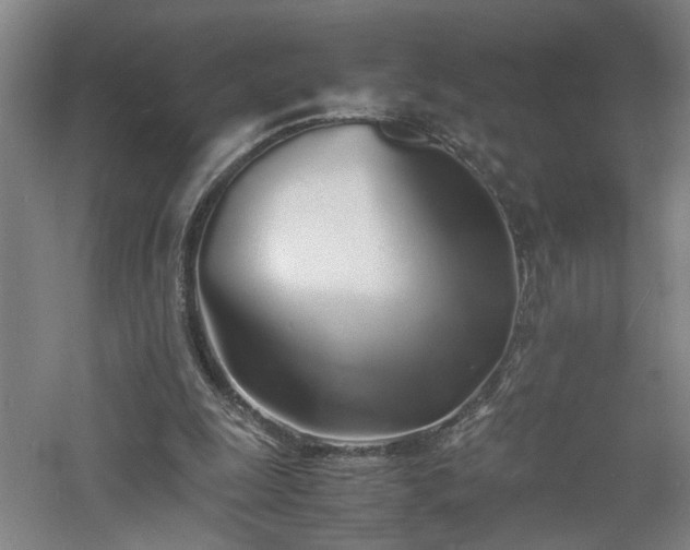 X0000060770247200511101221