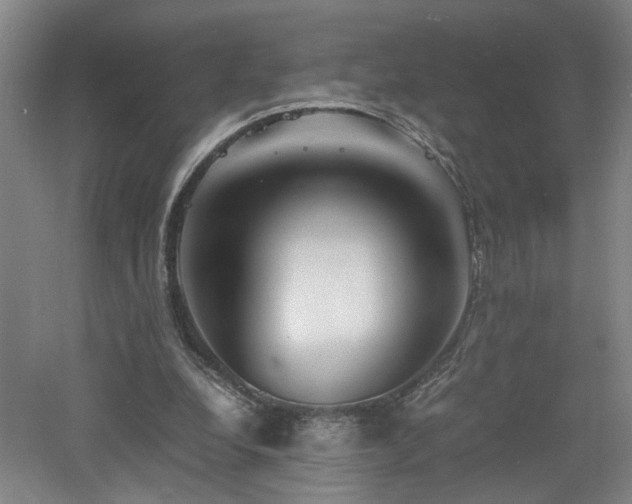 X0000060770248200511101221