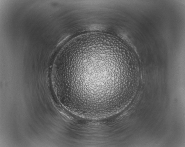 X0000060770249200511101221