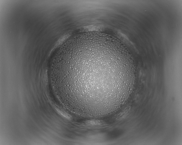 X0000060770250200511101221