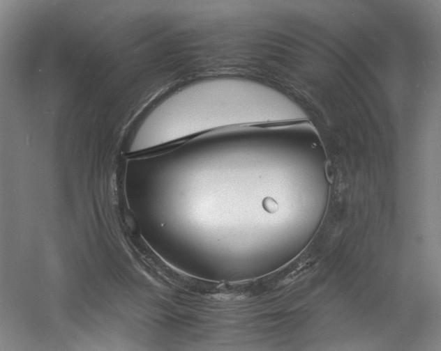 X0000060770251200511101221