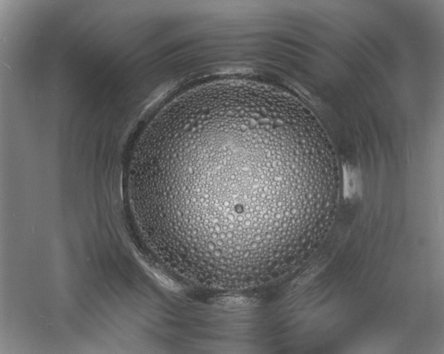 X0000060770253200511101221