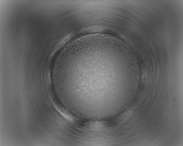 X0000060770254200511101221