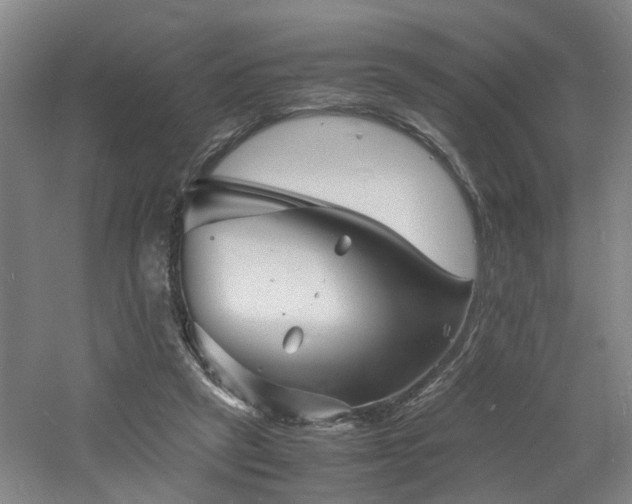 X0000060770257200511101222