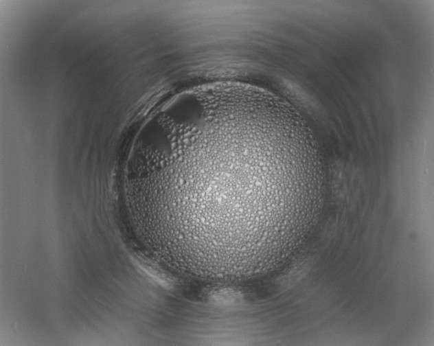 X0000060770258200511101222