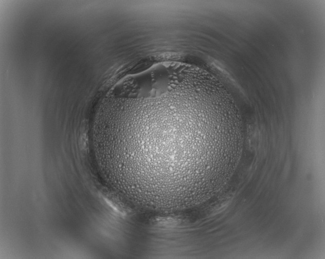 X0000060770259200511101222