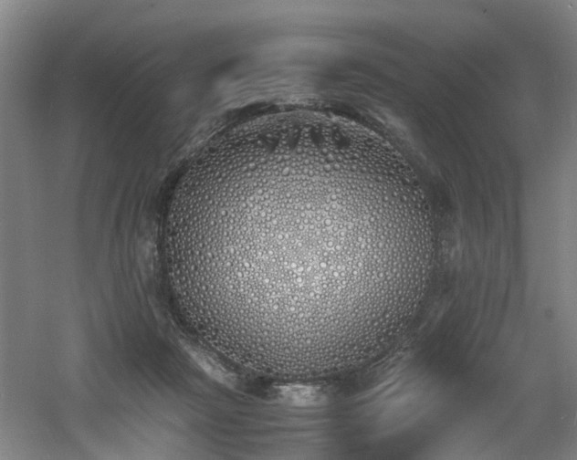 X0000060770265200511101222