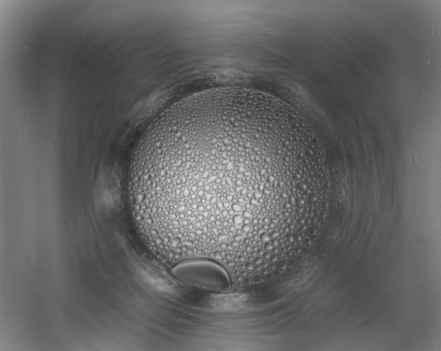 X0000060770266200511101222