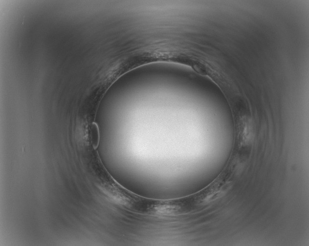 X0000060770268200511101222