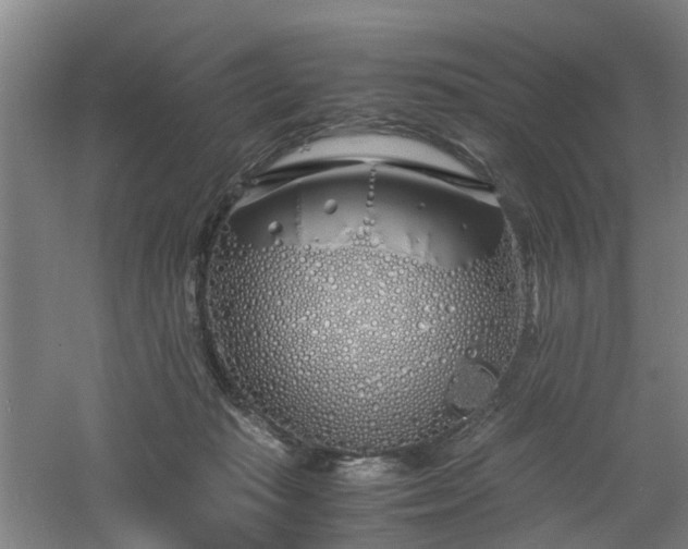 X0000060770269200511101222