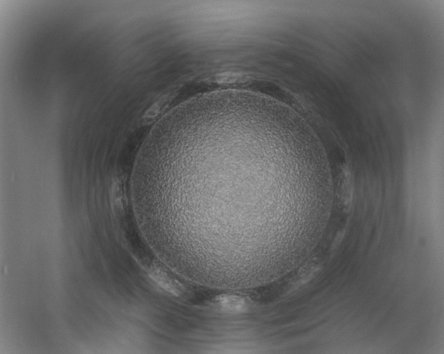 X0000060770272200511101222