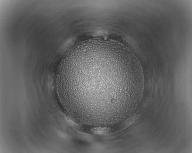 X0000060770273200511101222