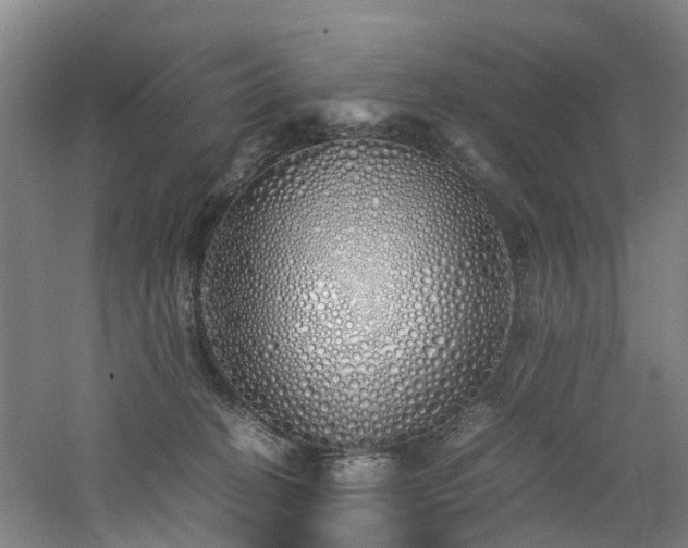 X0000060770274200511101222