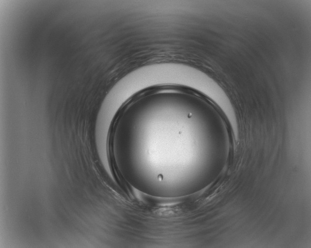 X0000060770277200511101222