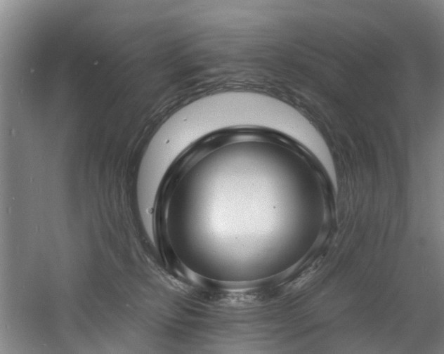 X0000060770278200511101222