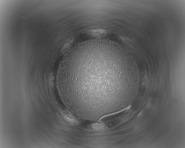 X0000060770279200511101222