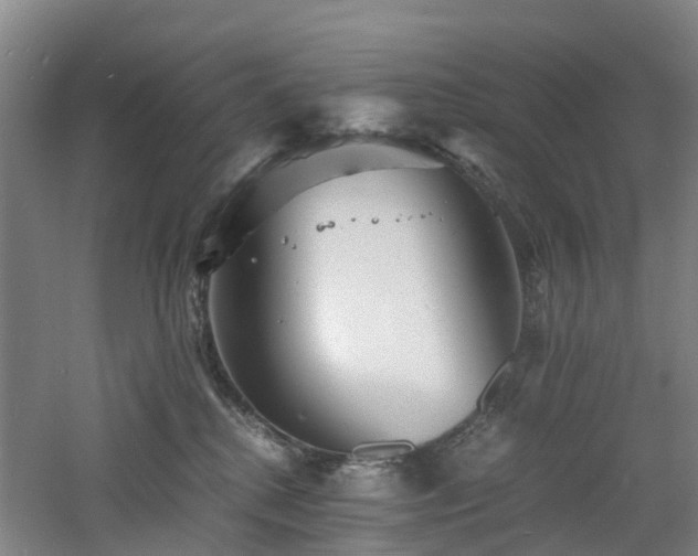 X0000060770280200511101222