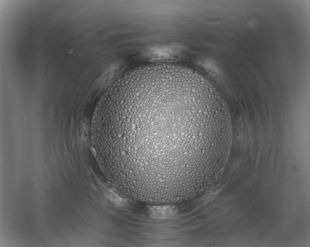 X0000060770281200511101222