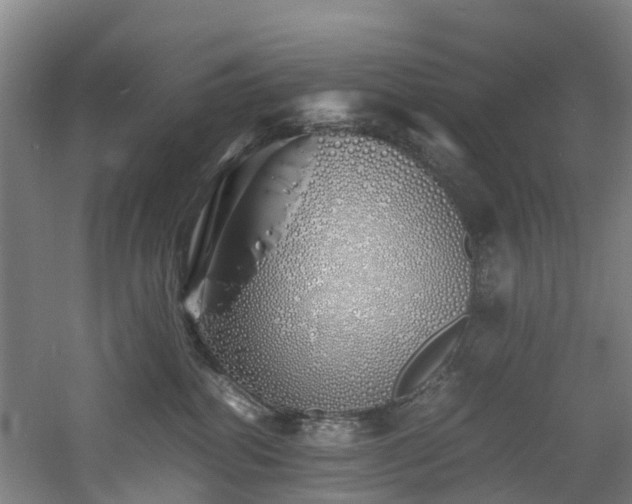 X0000060770282200511101222