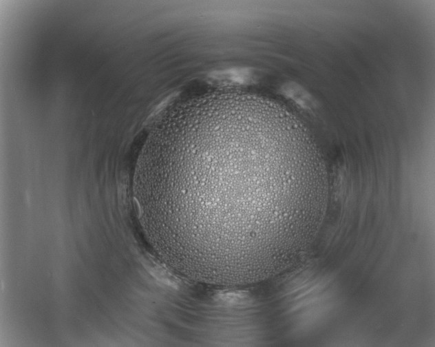 X0000060770283200511101222