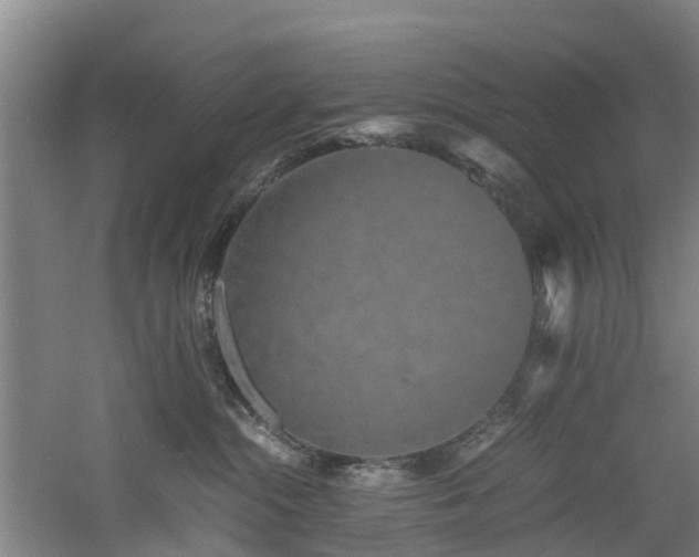 X0000060770284200511101222