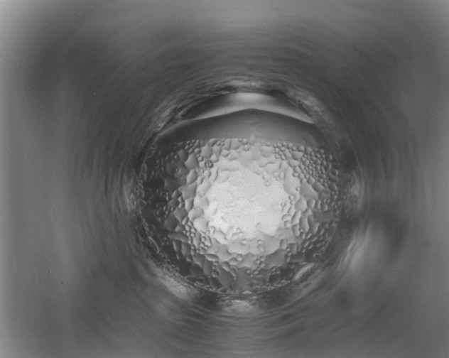 X0000060770285200511101222