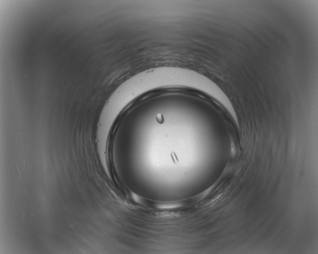 X0000060770287200511101222