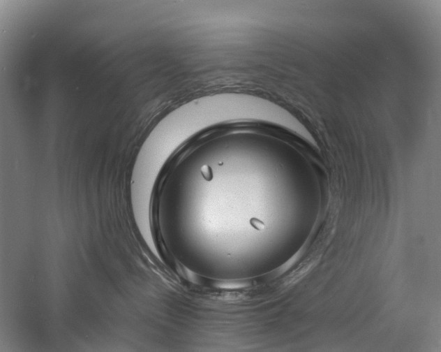 X0000060770288200511101222