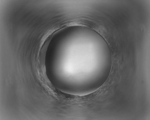 X0000060770289200511101221