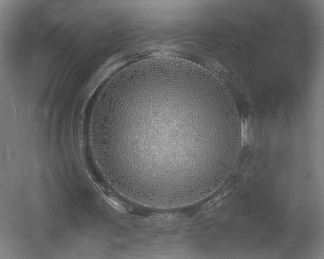 X0000060770291200511101221