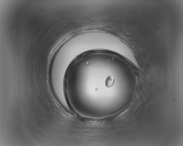 X0000060770293200511101221