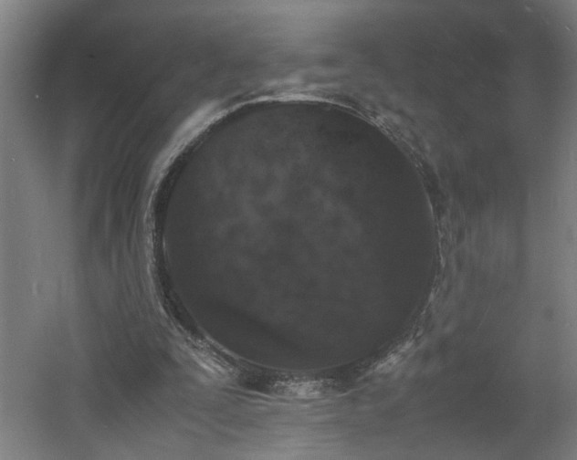 X0000060770295200511101221