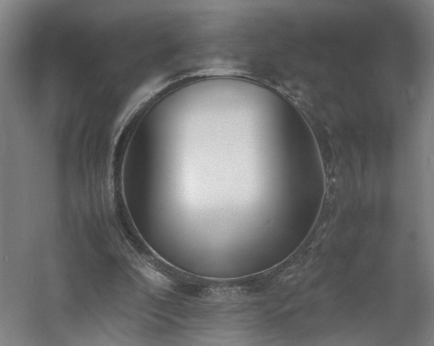 X0000060770296200511101221