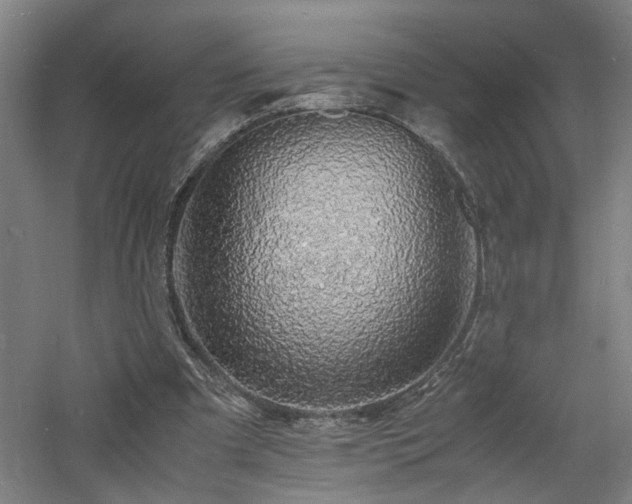 X0000060770297200511101221