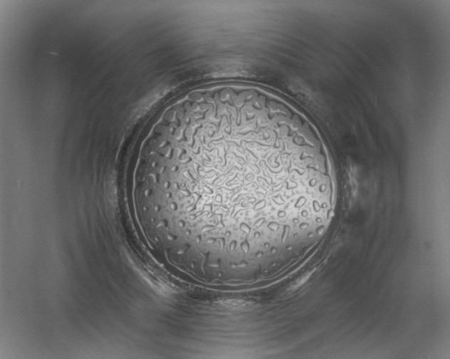 X0000060770298200511101221