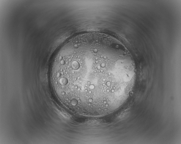 X0000060770299200511101221