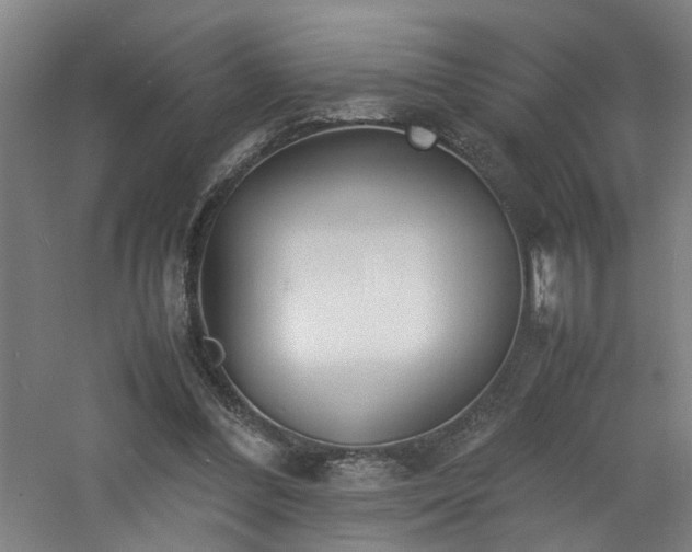 X0000060770300200511101221