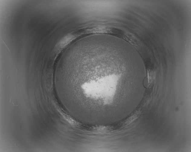 X0000060770301200511101221