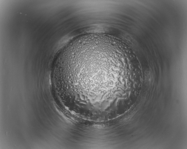 X0000060770302200511101221