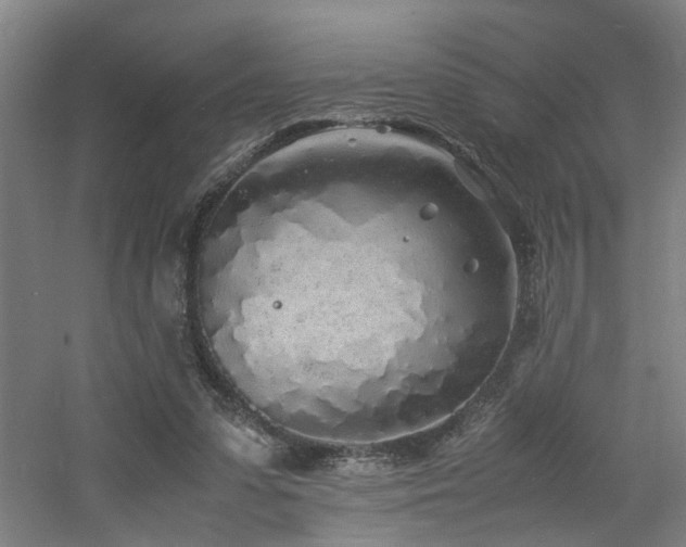 X0000060770303200511101221