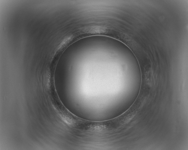 X0000060770304200511101221