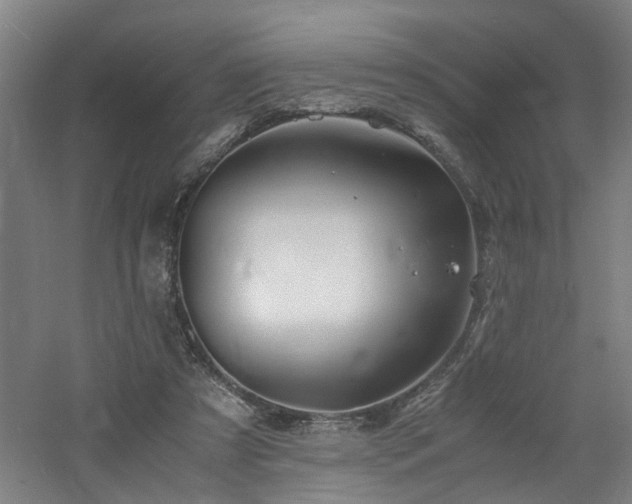 X0000060770305200511101221