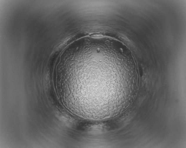 X0000060770306200511101221