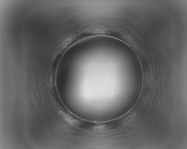 X0000060770309200511101221