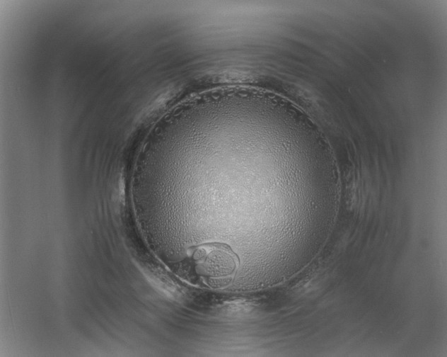 X0000060770310200511101221