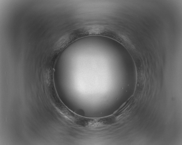 X0000060770311200511101221