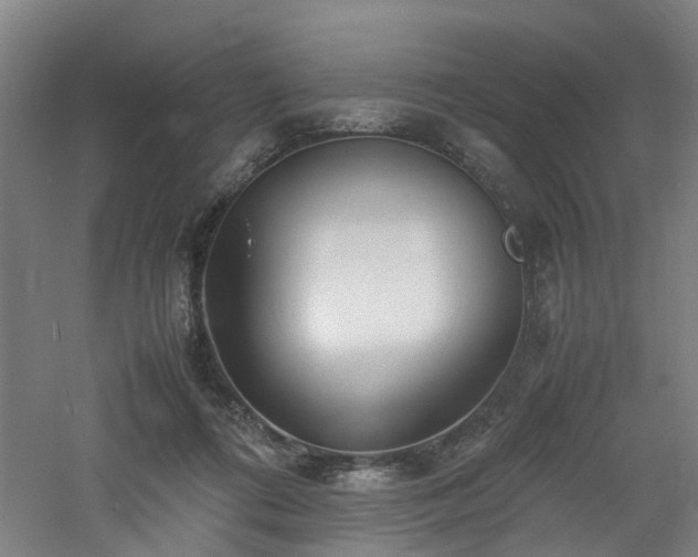 X0000060770312200511101221